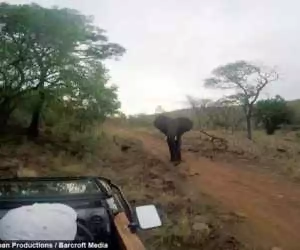 Photos: Film crew attacked by angry Elephant
